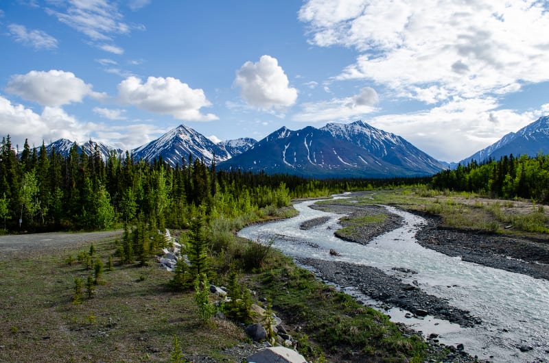 a braided creek with mountains in the background