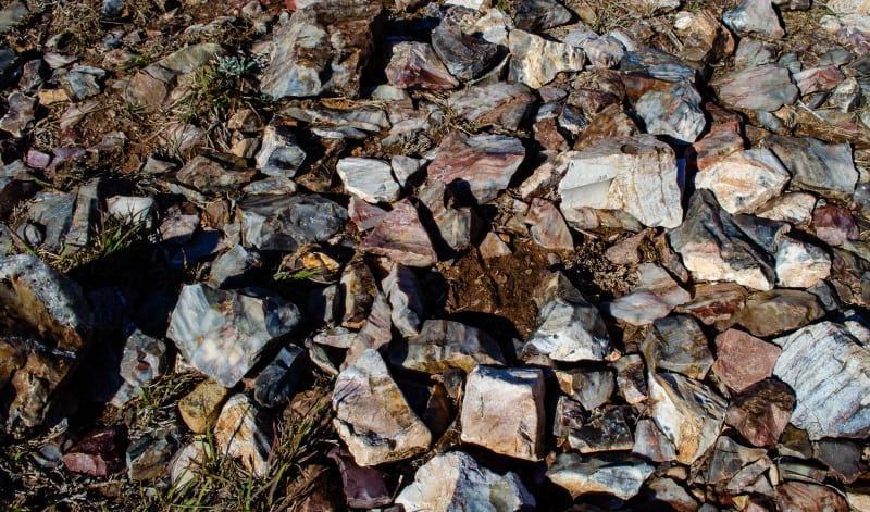 flint scattered around on the ground