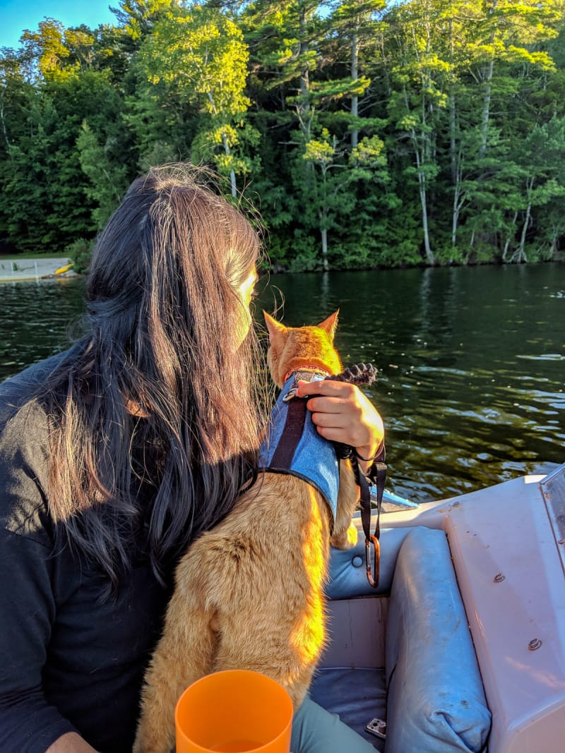 Mango riding a boat looking at the water