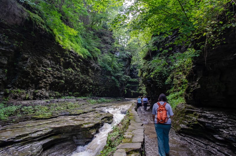 trail through watkins glen gorge