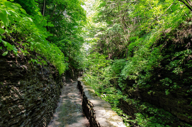 trail through watkins glen gorge