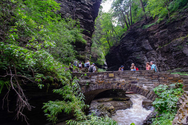 trail through watkins glen gorge