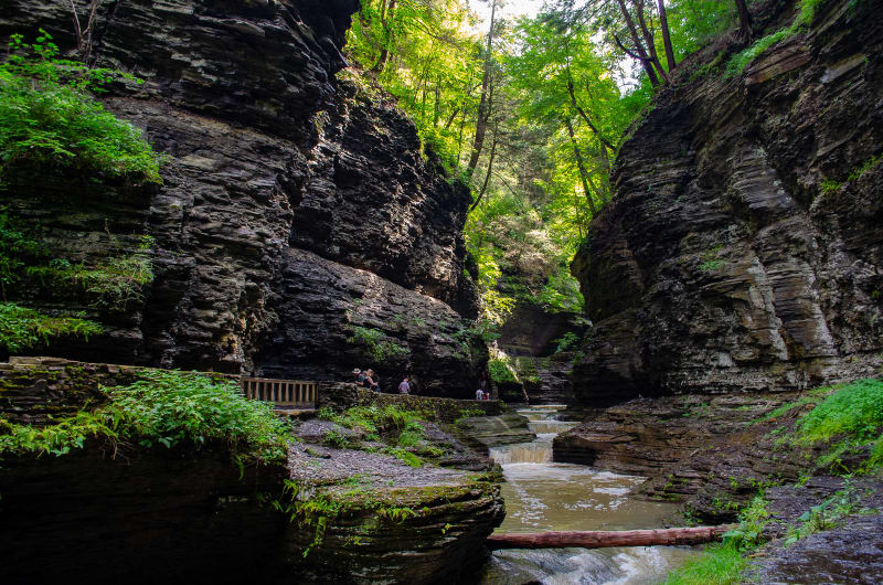 trail through watkins glen gorge