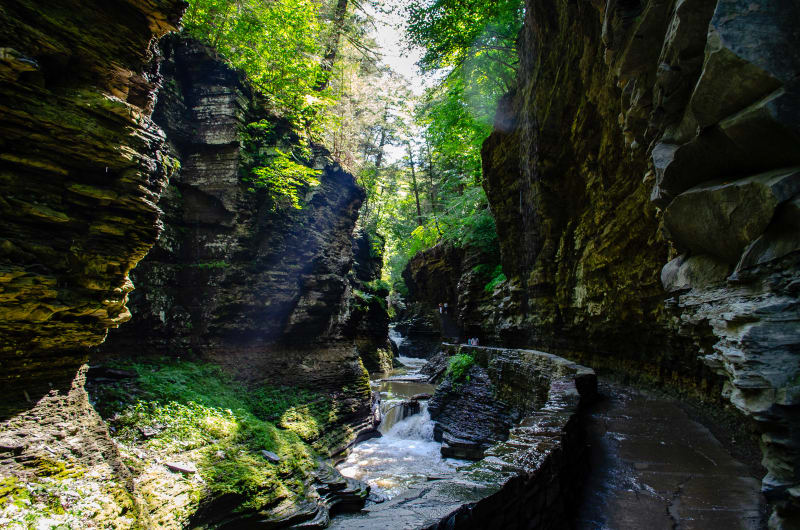 trail through watkins glen gorge