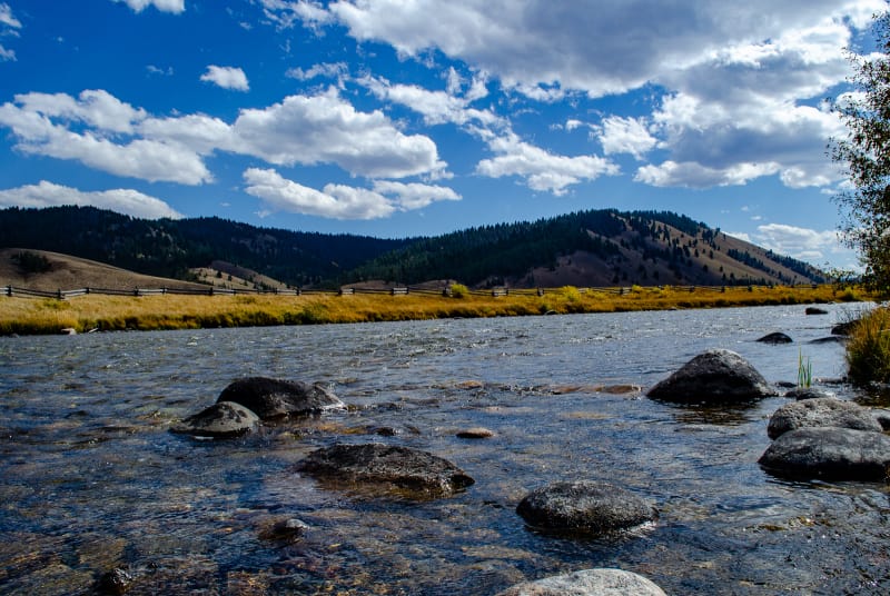 the salmon river in sawtooth valley