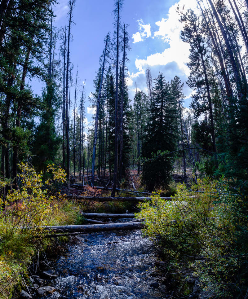 hiking near redfish lake