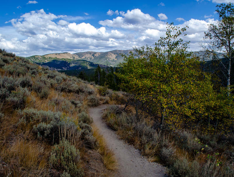 hiking near redfish lake