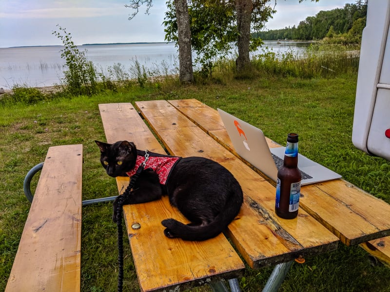 picnic table with laptop, beer, and ollie with the lake in the background