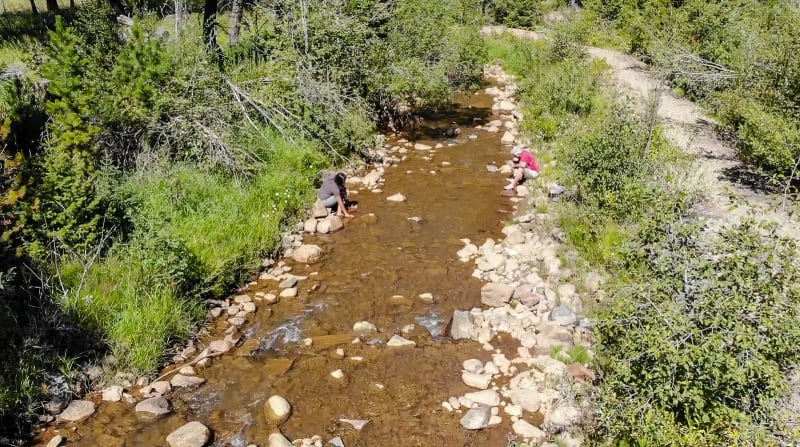 panning for gold