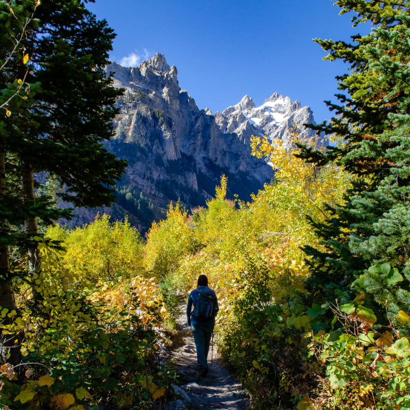 sushila walking into cascade canyon in the teton mountains