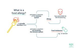 What is food allergy?