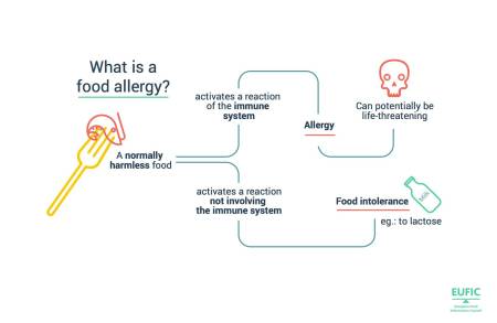 What is food allergy?