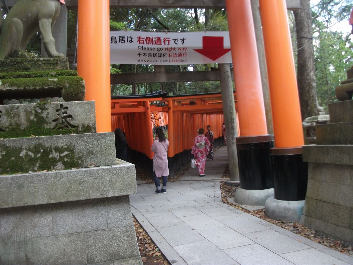 伏見稲荷大社 車椅子で行く神社仏閣 パワースポットの旅