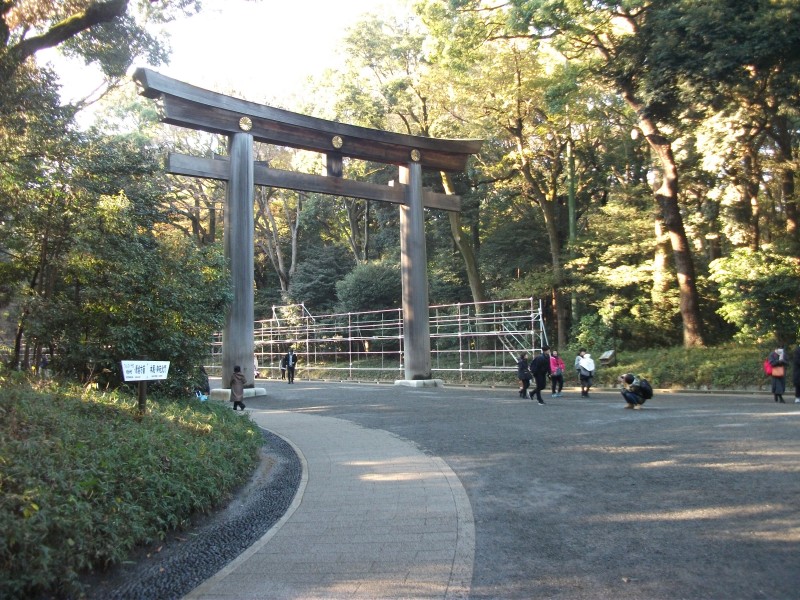 明治神宮 車椅子で行く神社仏閣 パワースポットの旅