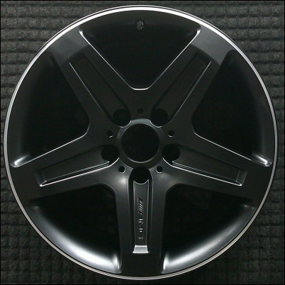 Mercedes-Benz G55 AMG 2009-2011 19