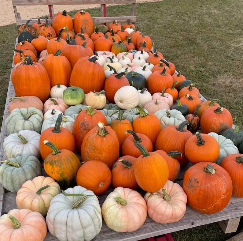Ogle County Farm Stroll