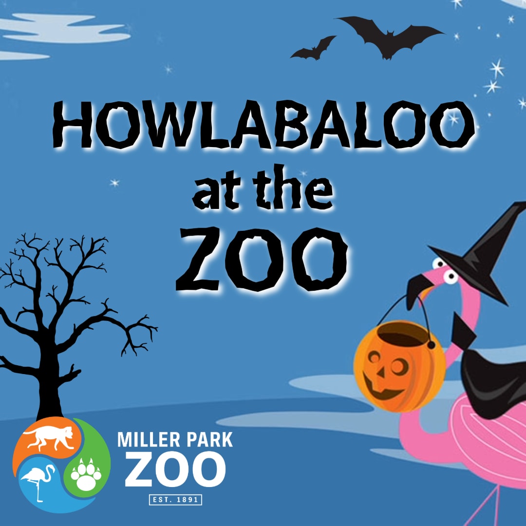 Howlabaloo at the Zoo