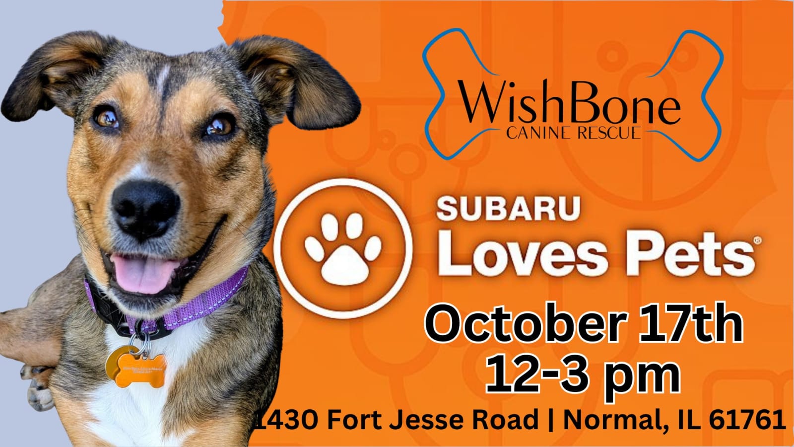 Subaru Loves Pets