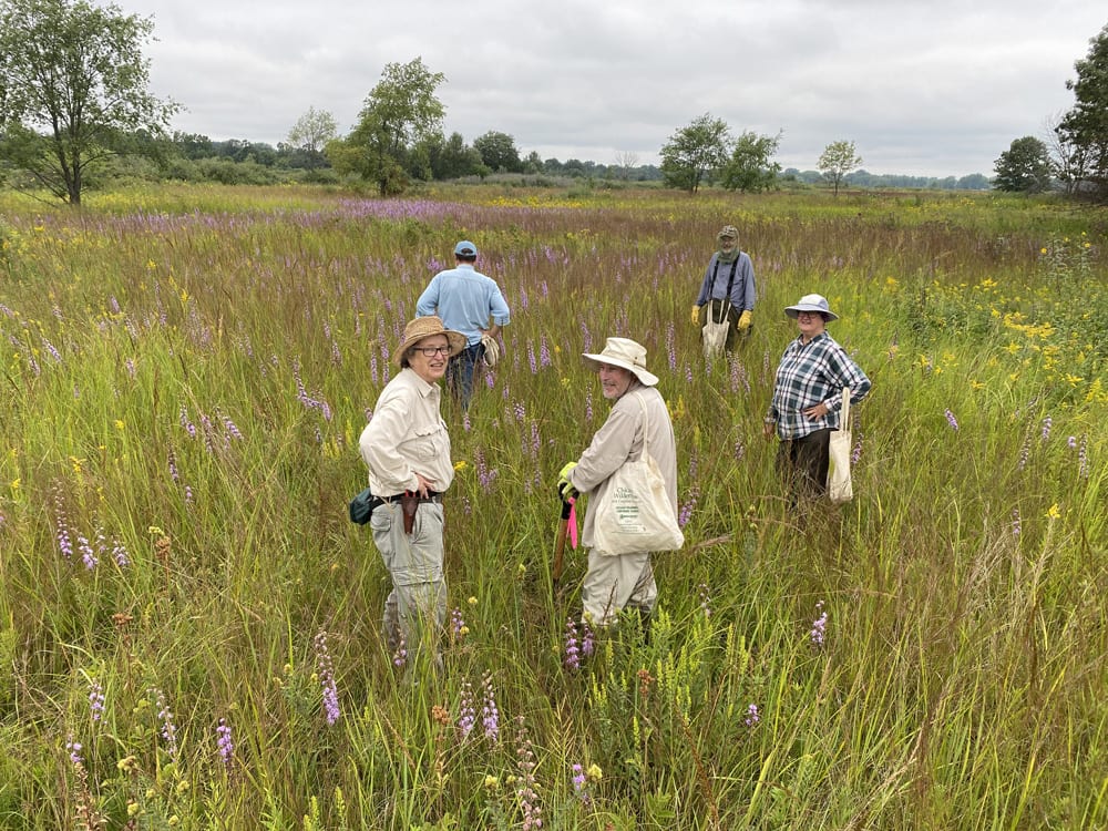 Volunteer Day in the Prairie
