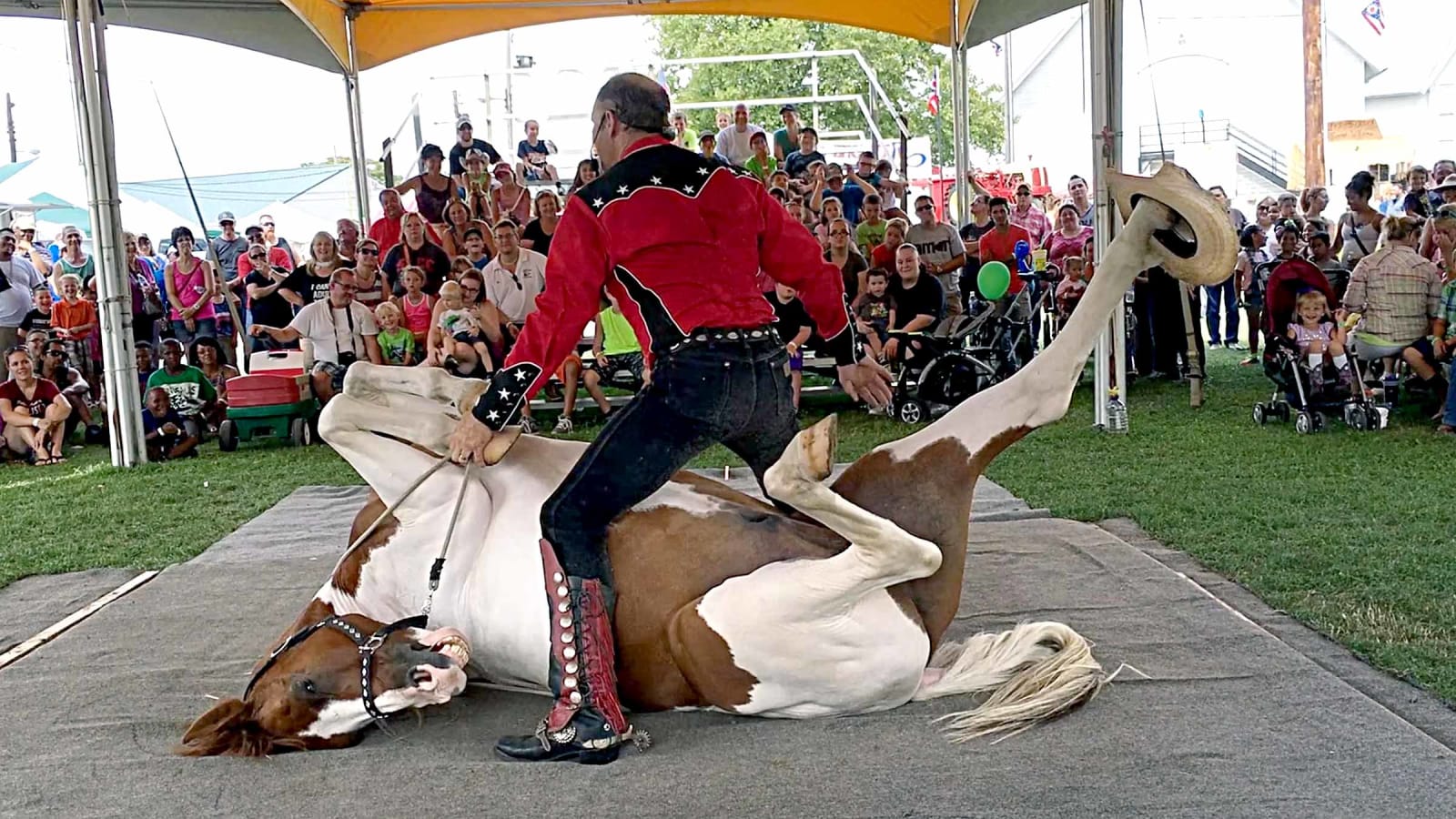 Ogle County Fair