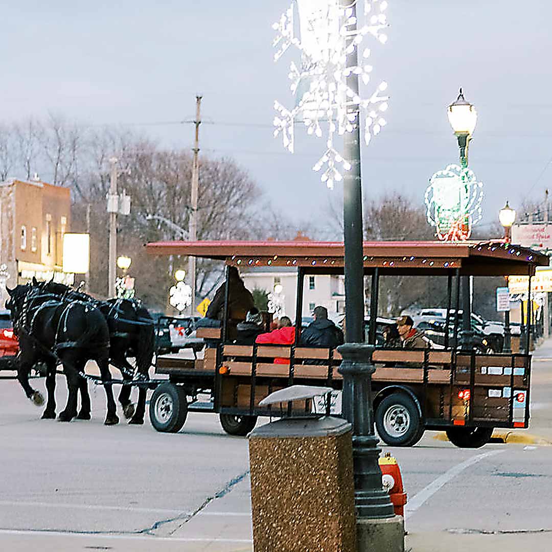 Polo Christmas Festival