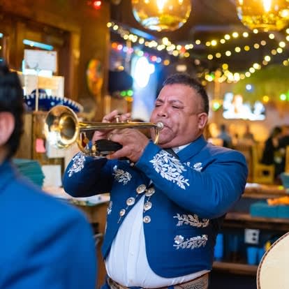 Live Mariachi Band