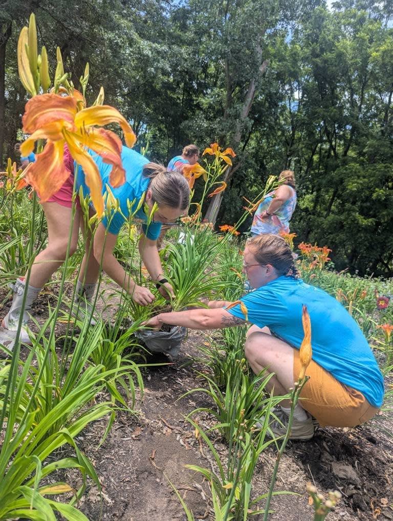 Bloomfest 2026