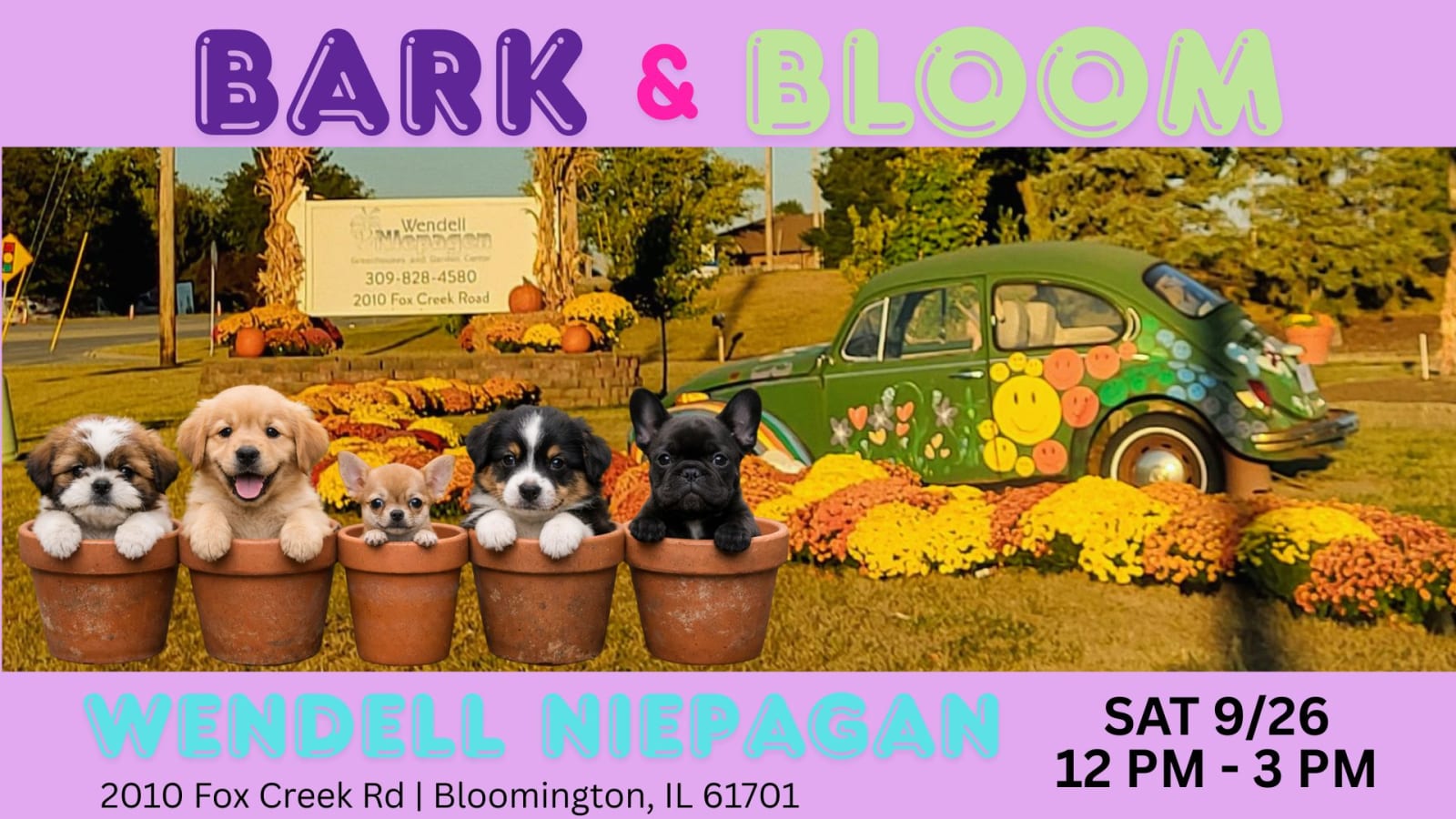 Bark and Bloom