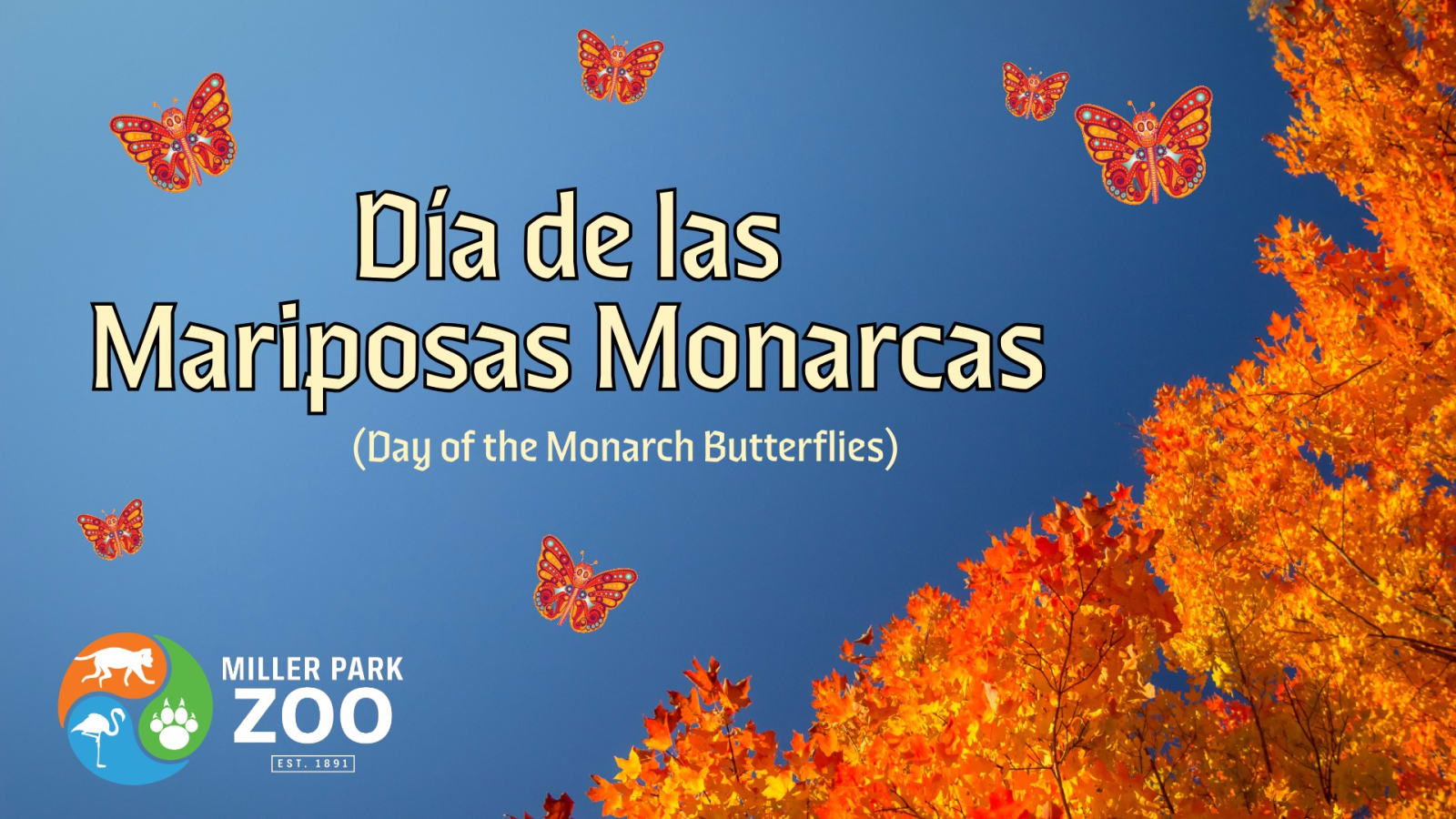 Dia de las Mariposas Monarcas