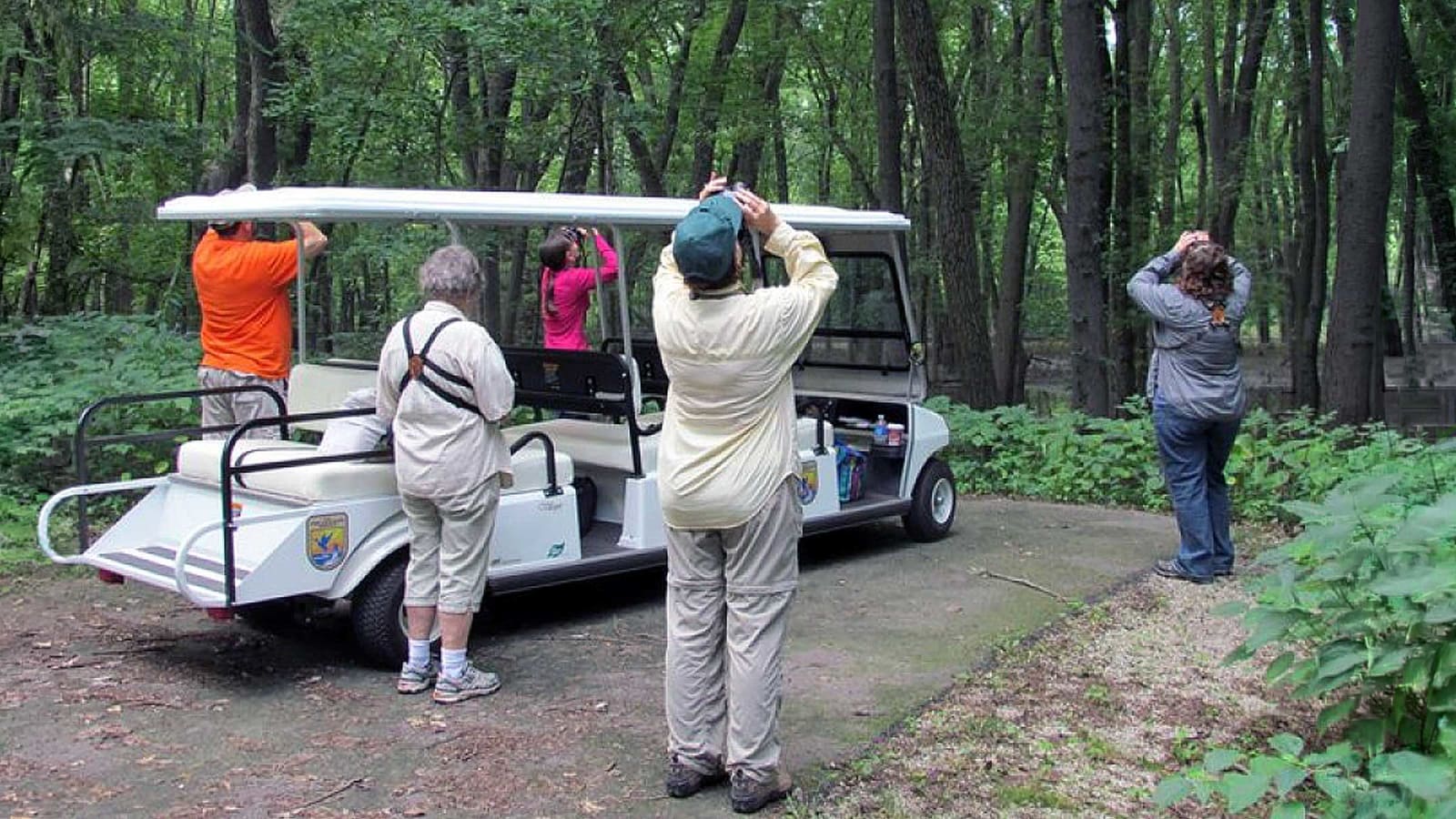 Golf Cart Tours