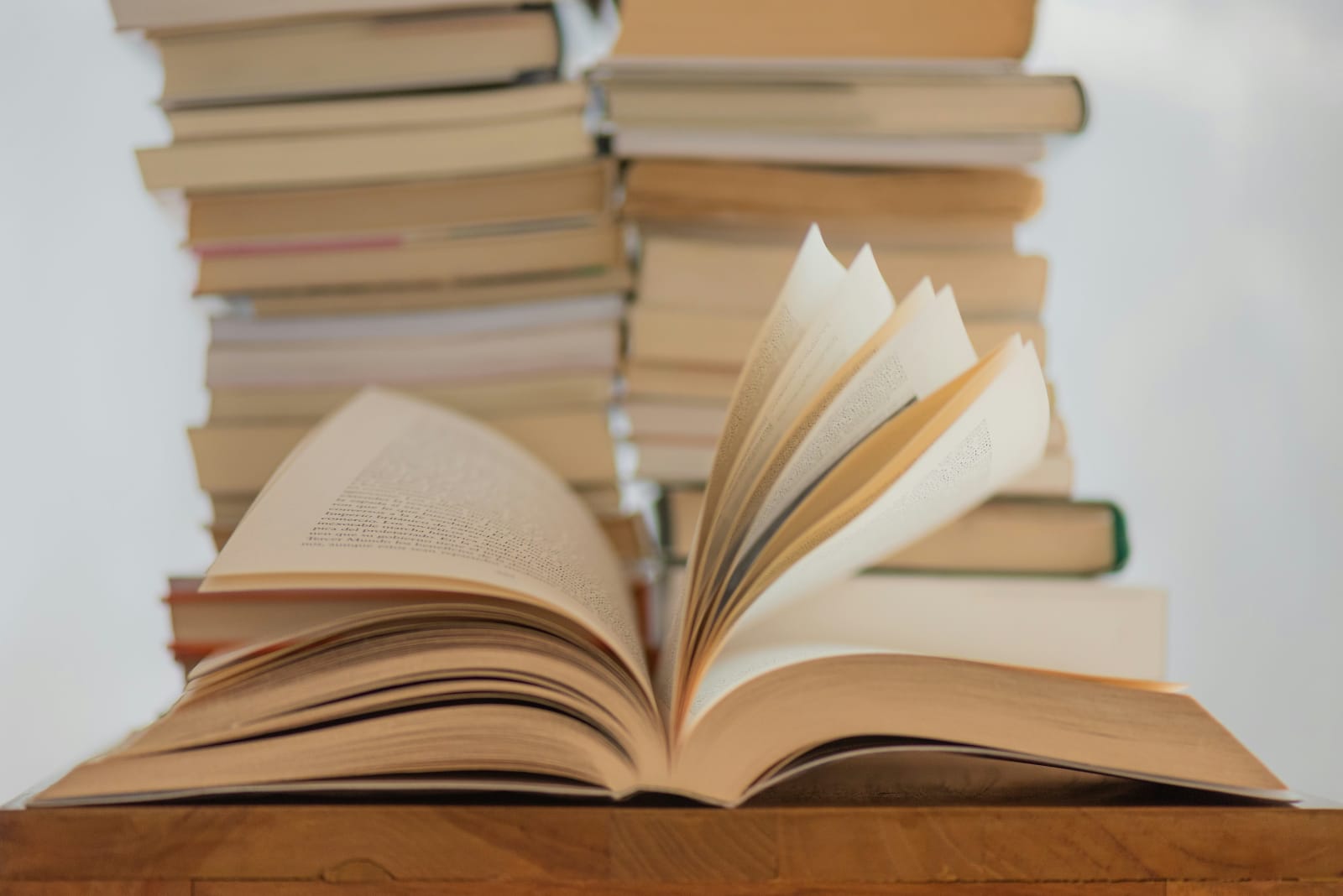 Local Author Book Fair