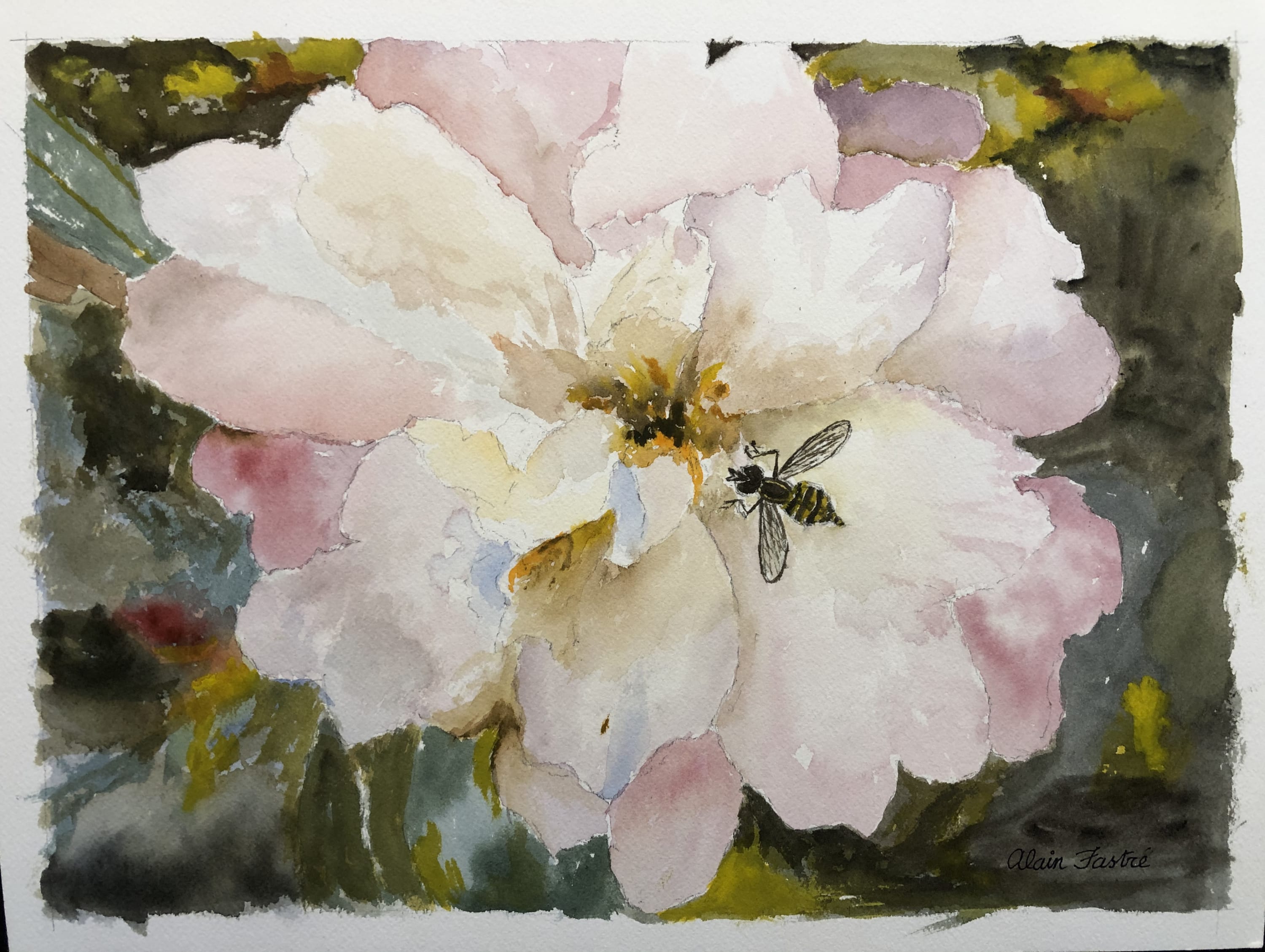 The Camelia and the Bee Watercolor Painting