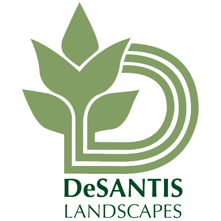 DeSantis Landscapes DeSantis Landscapes