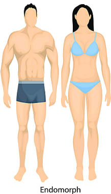 Endomorph