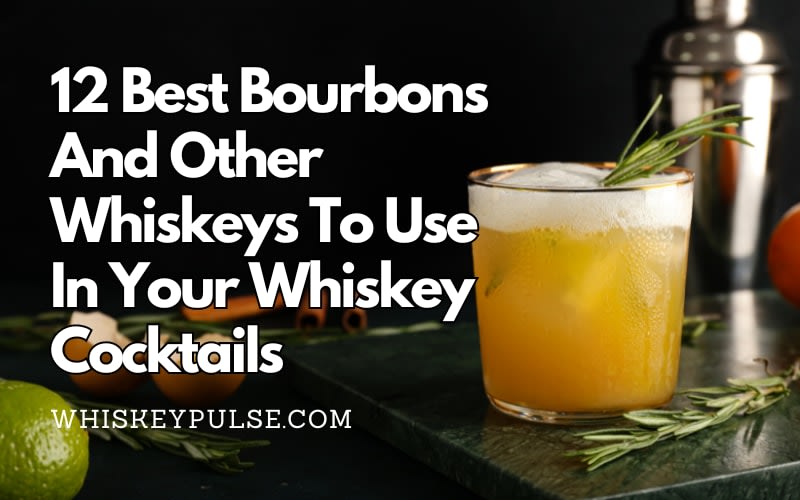 12 Best Bourbons And Other Whiskeys To Use In Your Whiskey Cocktails