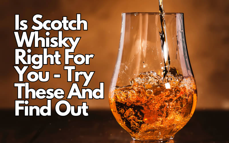 Is Scotch Whisky Right For You - Try These And Find Out