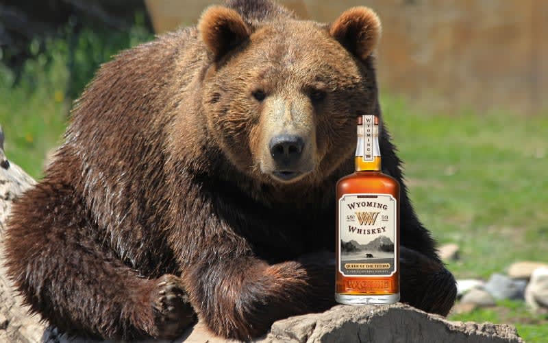 Wyoming Whiskey Pays Tribute to Grizzly 399 with New Bourbon Release, Queen of the Tetons