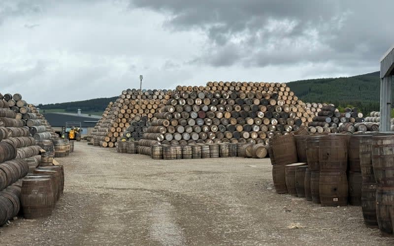 Scotch Whisky's Fight for Survival