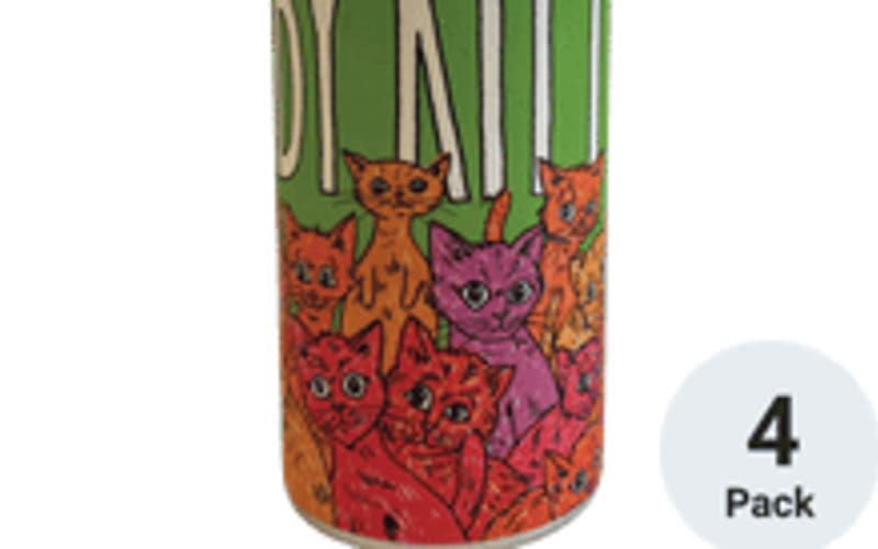 Fat Orange Cat Baby Kittens