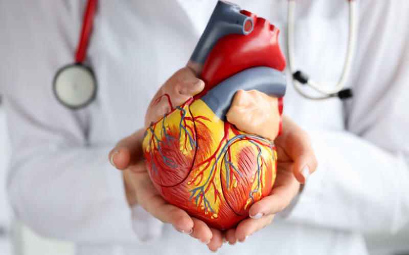 Whiskey Contains Chemicals That Might Fight Off Cardiovascular and Other Diseases