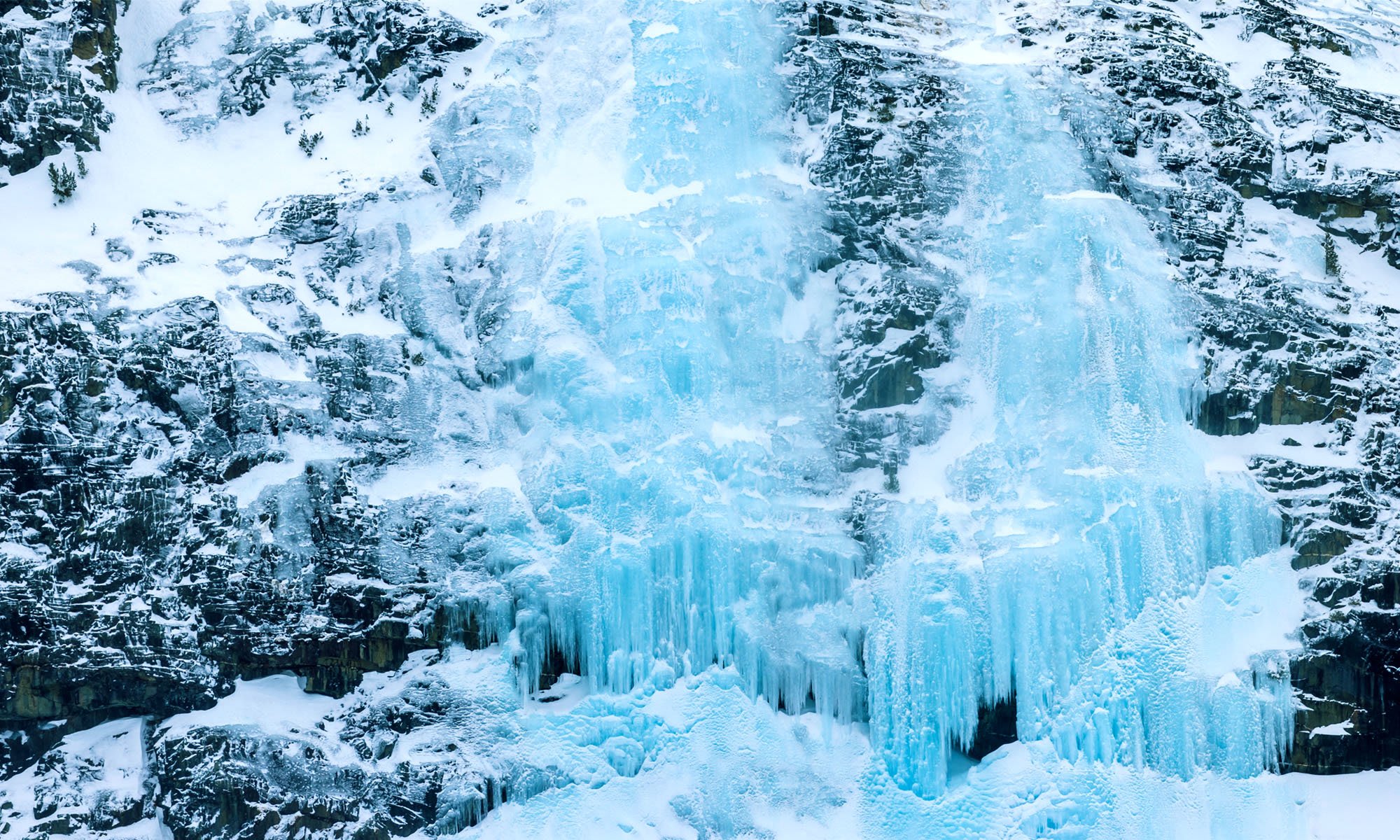 The Glacial Expedition