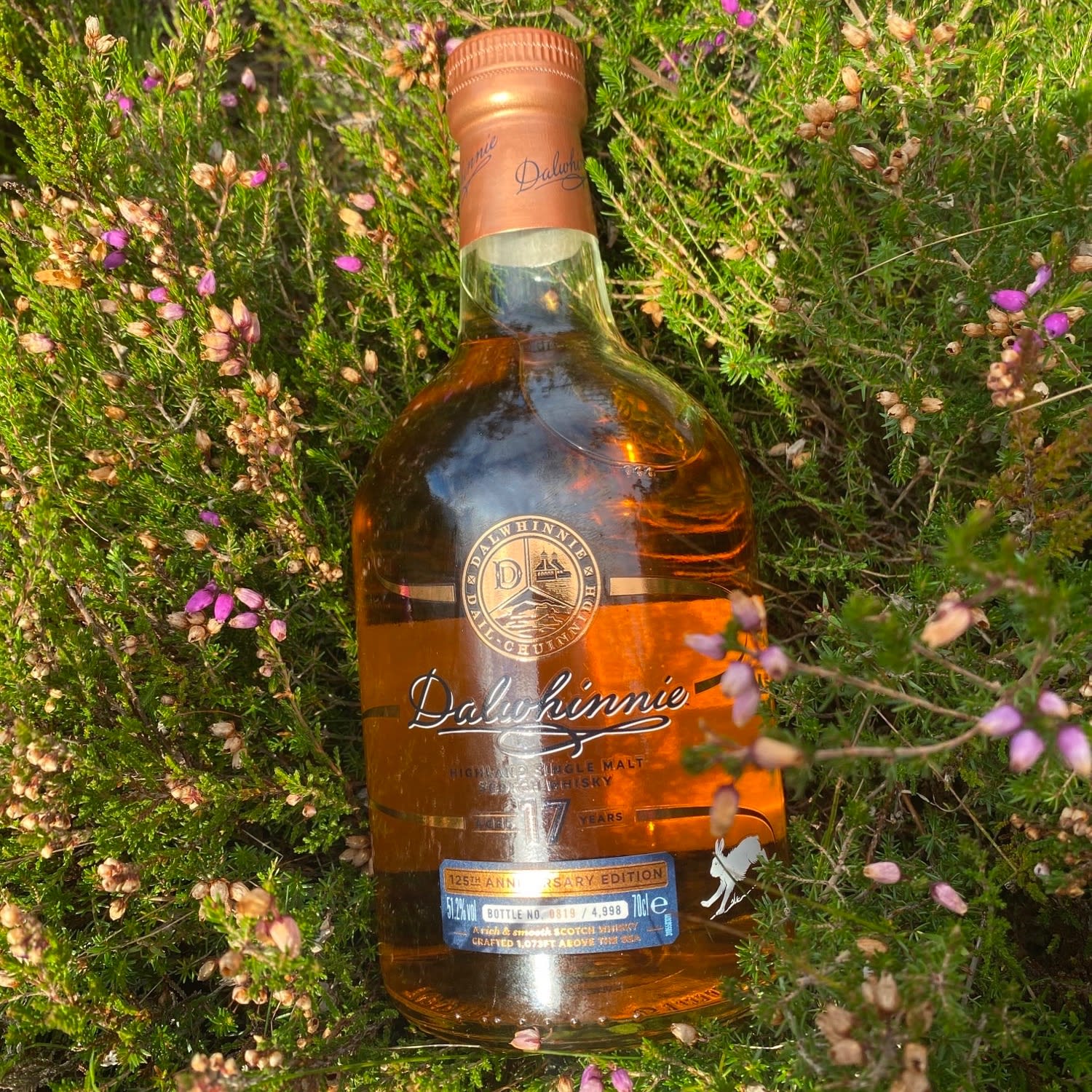 Dalwhinnie 125th Anniversary Edition, 17 Year Old