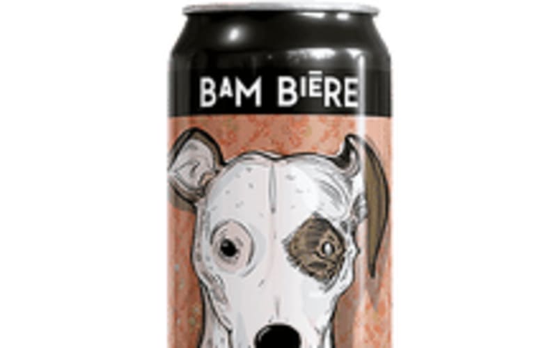 Jolly Pumpkin Bam Biere