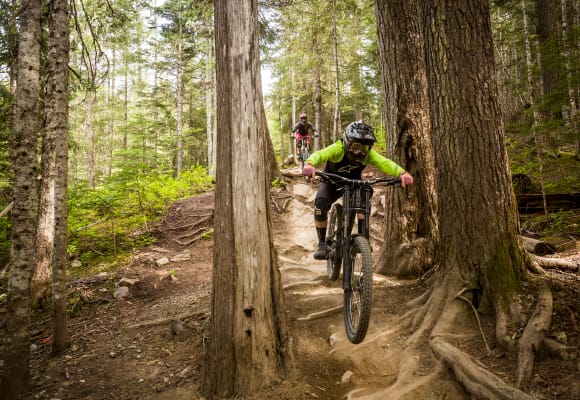 Downhill Mountain Biking (photo: Tourism Whistler/Justa Jeskova)