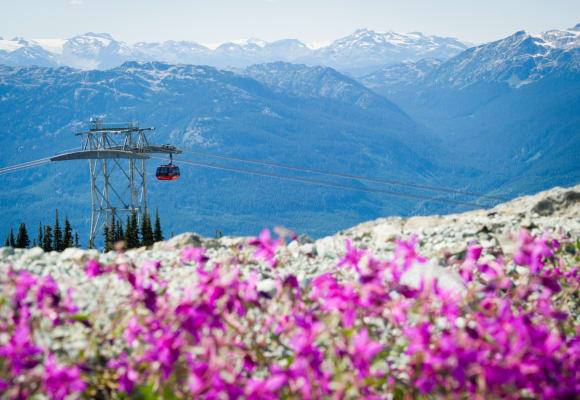 Peak 2 Peak Gondola (photo: Tourism Whistler / Mike Crane)