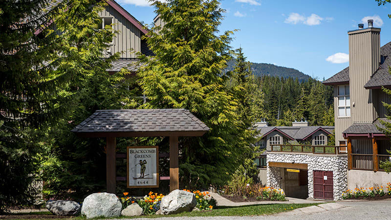 Blackcomb Greens Photo 3
