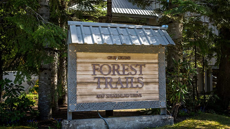 Forest Trails Photo 3