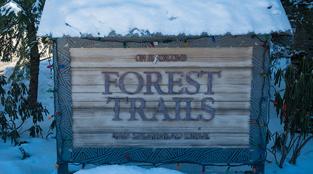 Forest Trails Photo 9