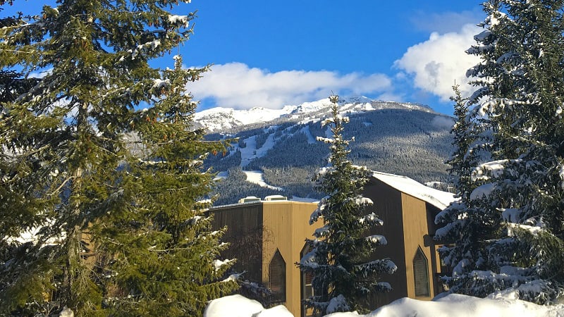 Ironwood Photo 3