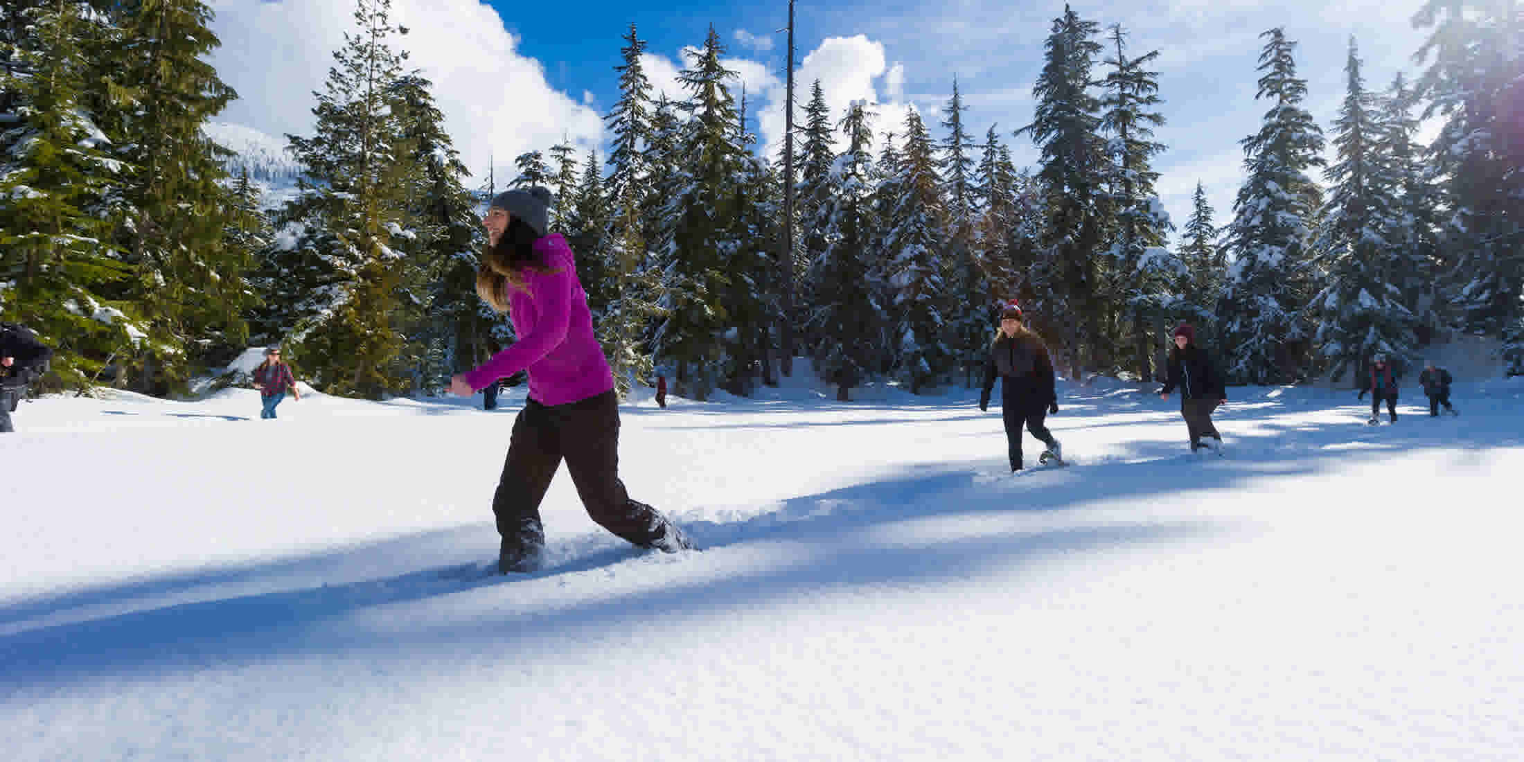 Snowshoeing Whistler